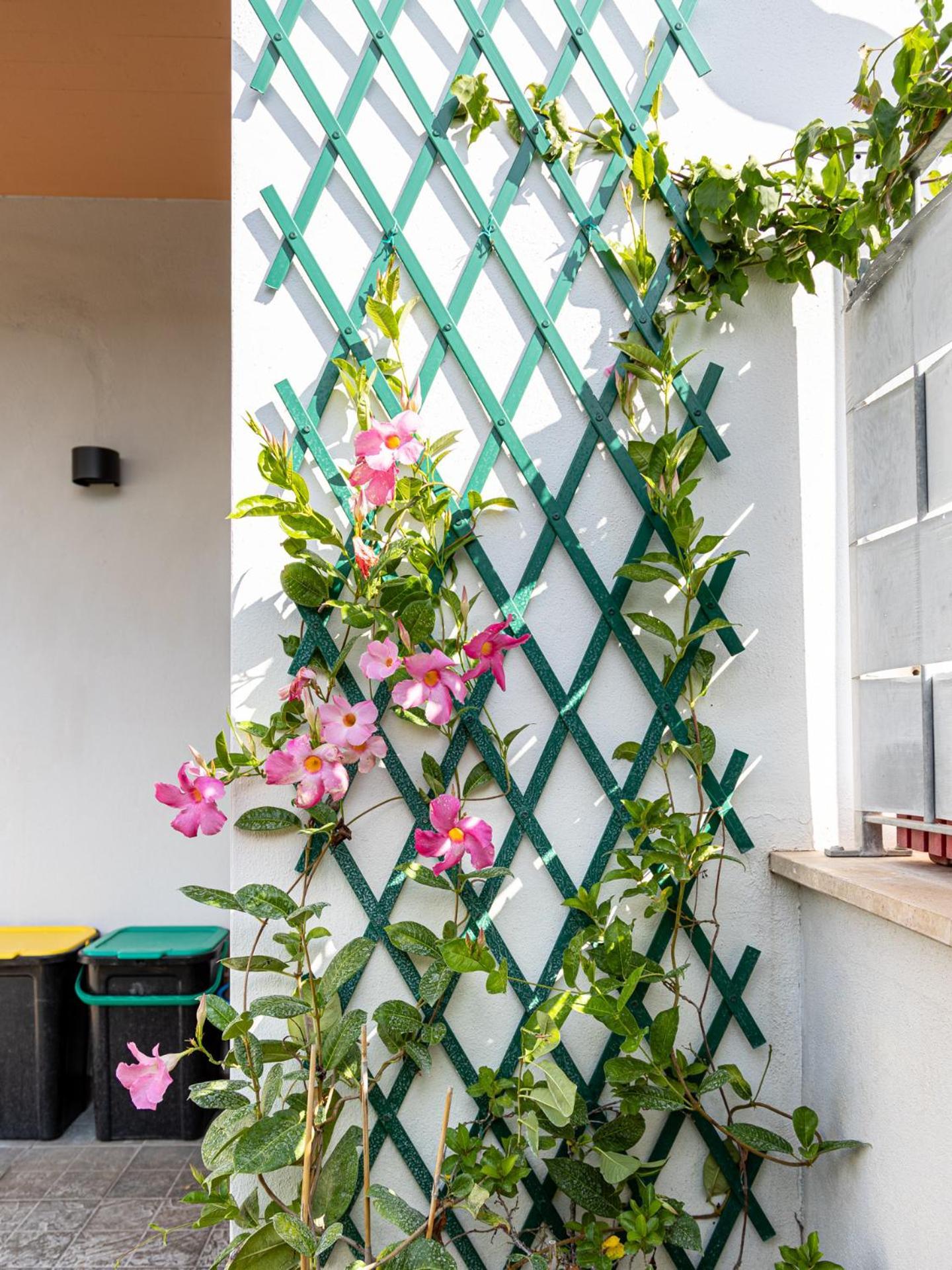 Mrb Real Estate - Maison Ludovica - Monolocale Moderno Con Giardino Frattocchie Esterno foto